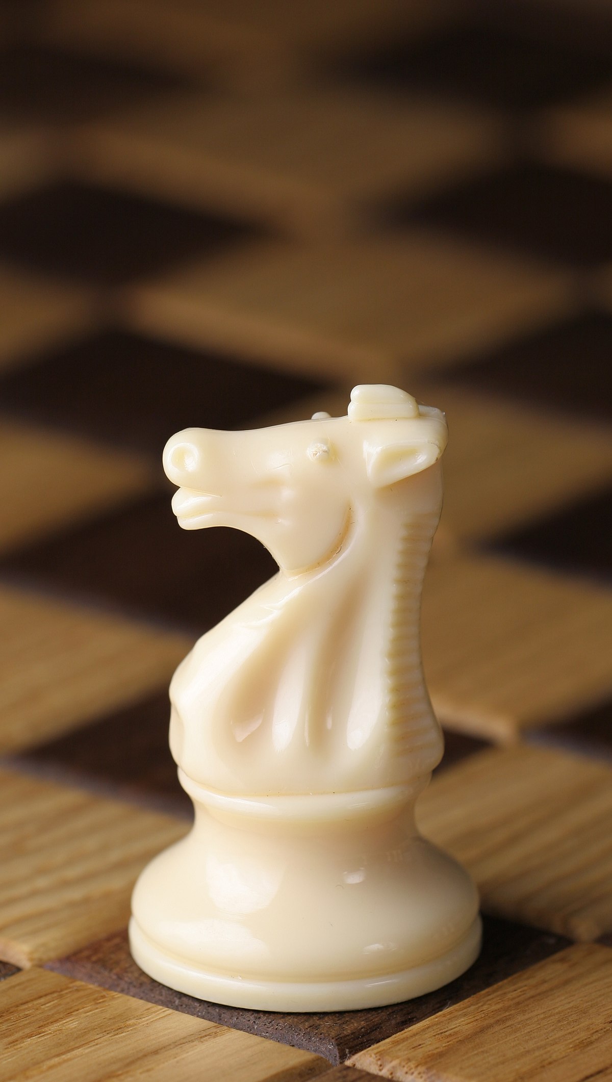 knight (chess)