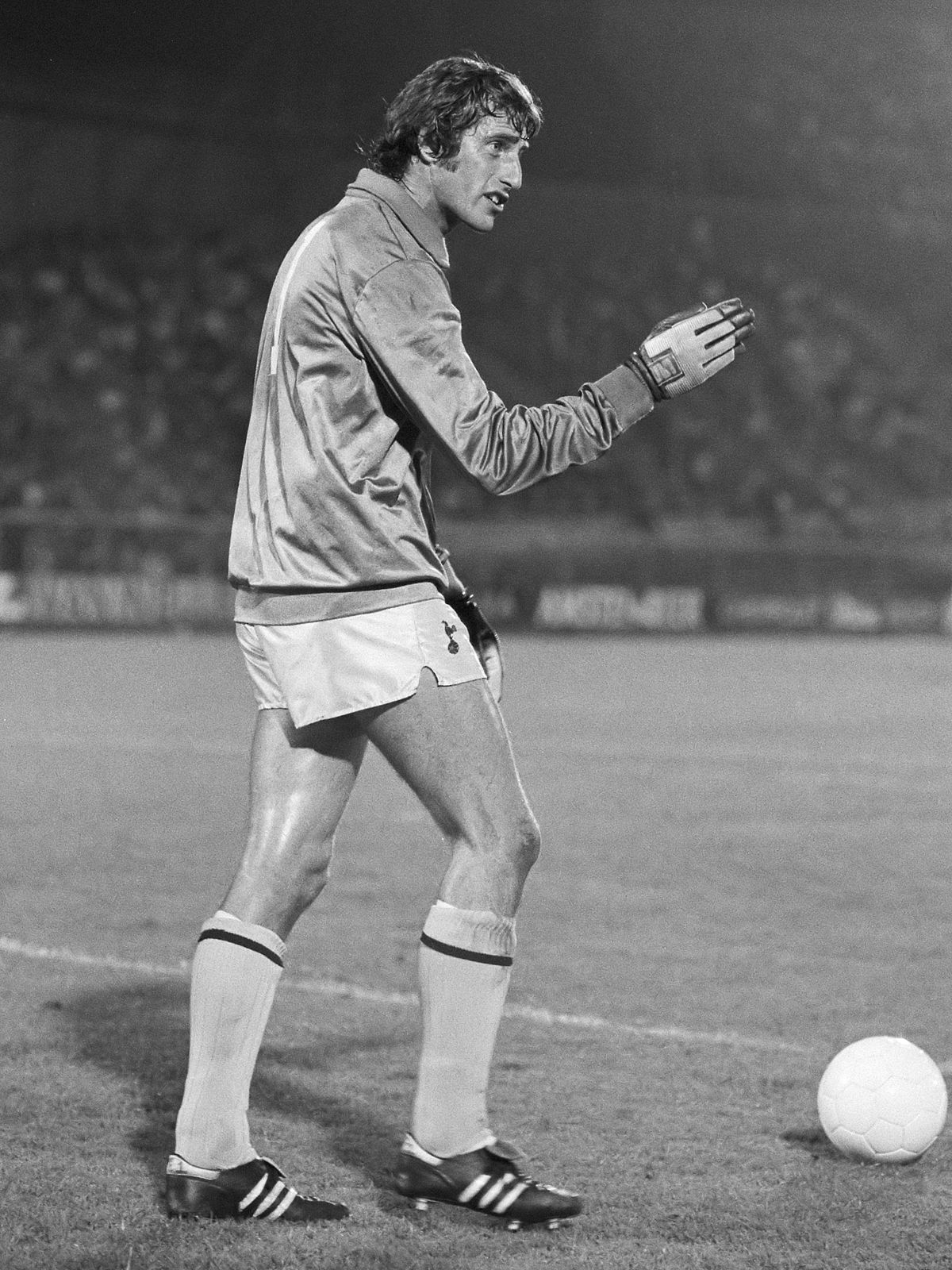 ray clemence