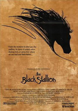 the black stallion (film)