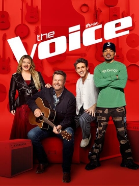 the voice (american season 23)