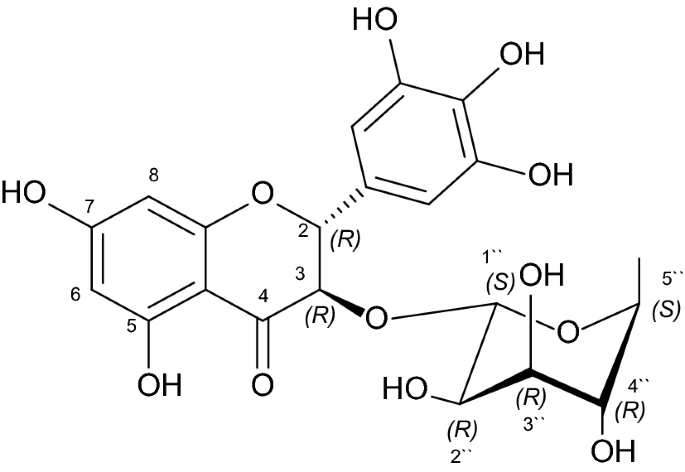 cholinesterase inhibitor