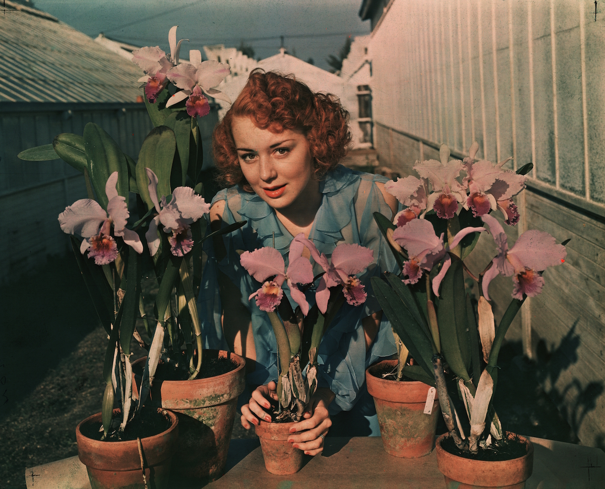 anne shirley (actress)