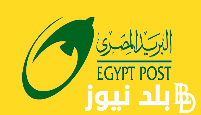 البوابه الحكوميه المصريه