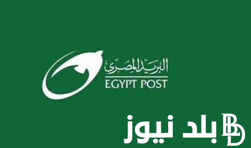 البوابه الحكوميه المصريه