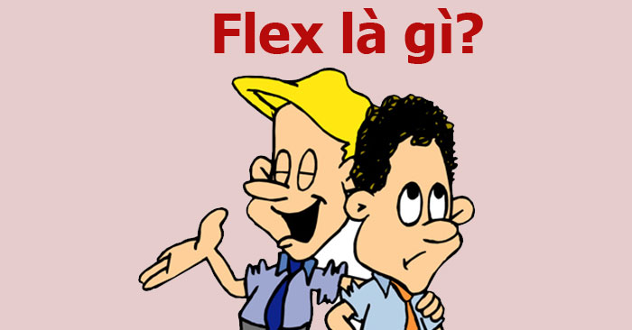 flex là gì