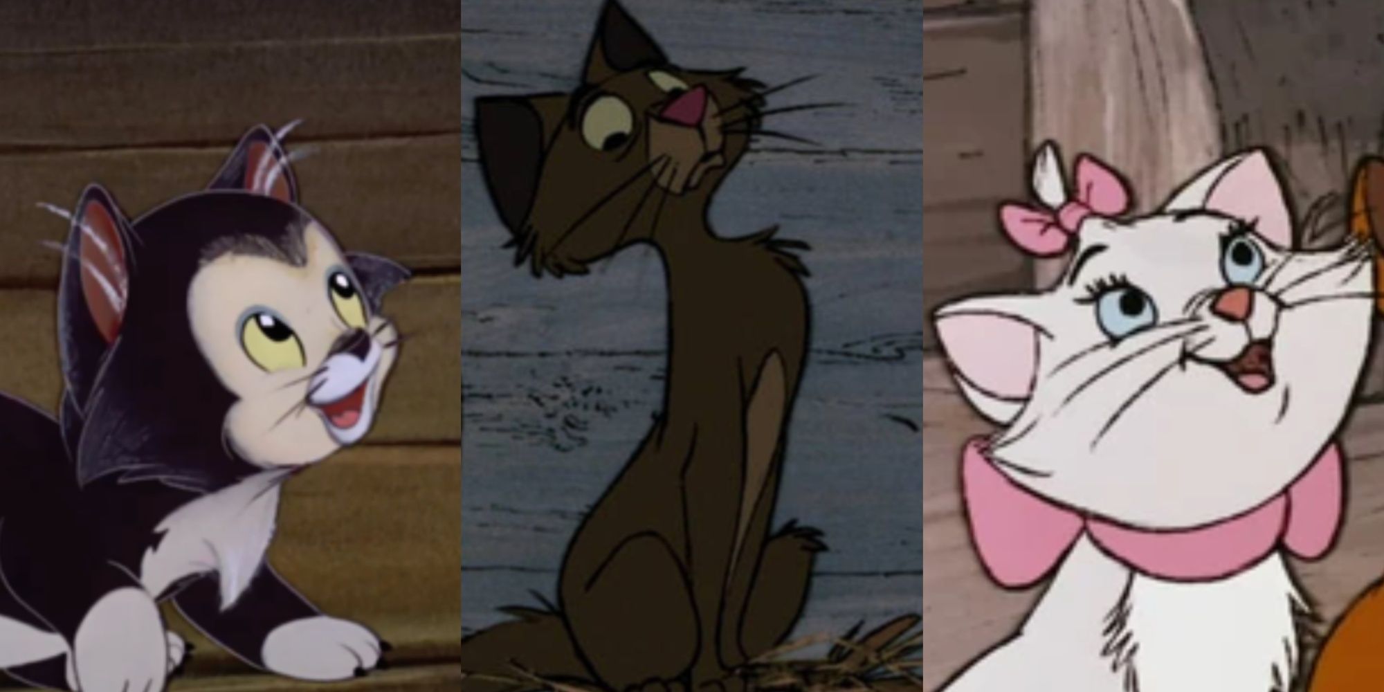 list of top cat characters