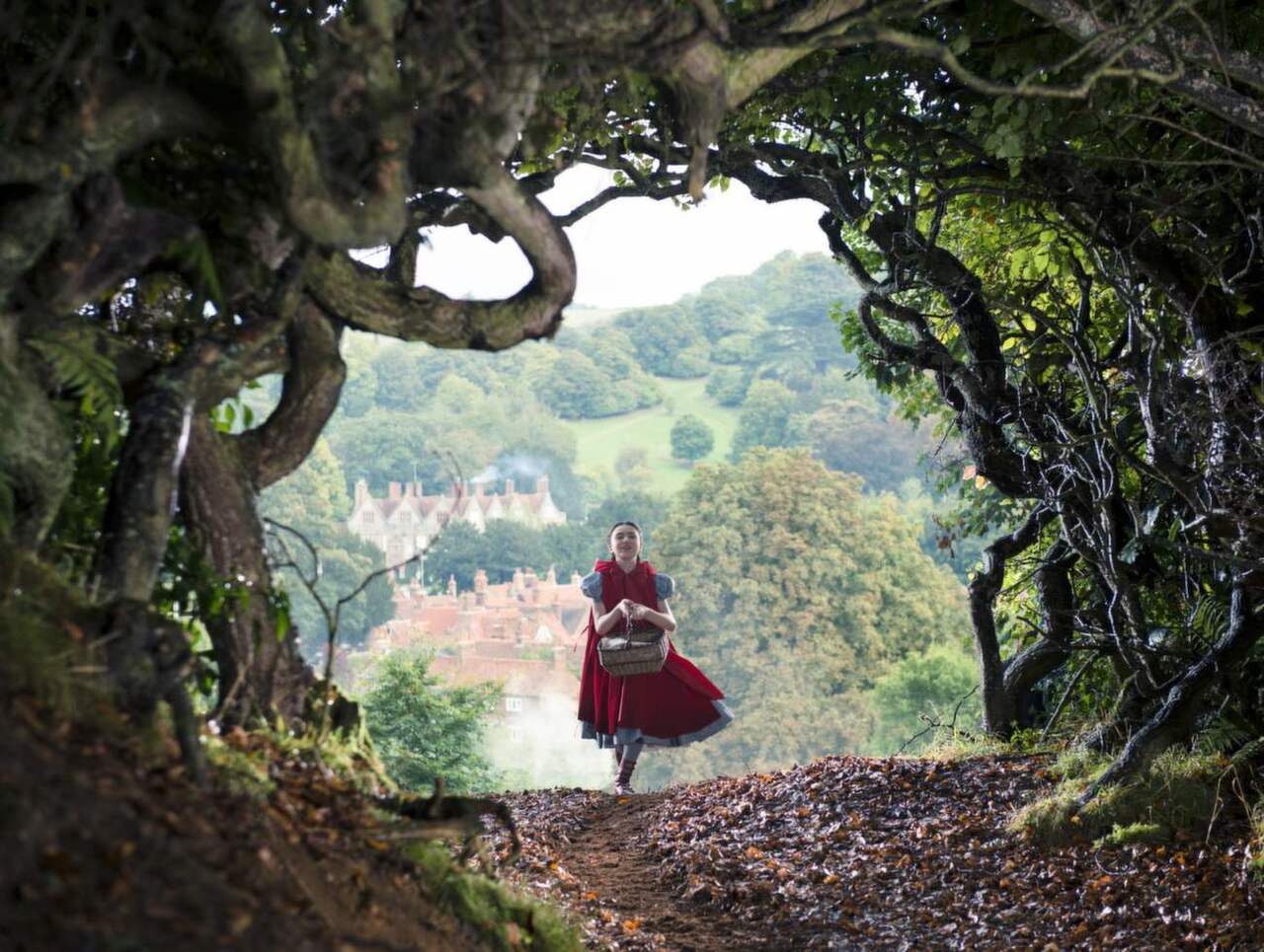 into the woods (film)