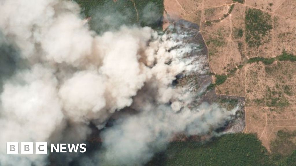 2019 brazil wildfires
