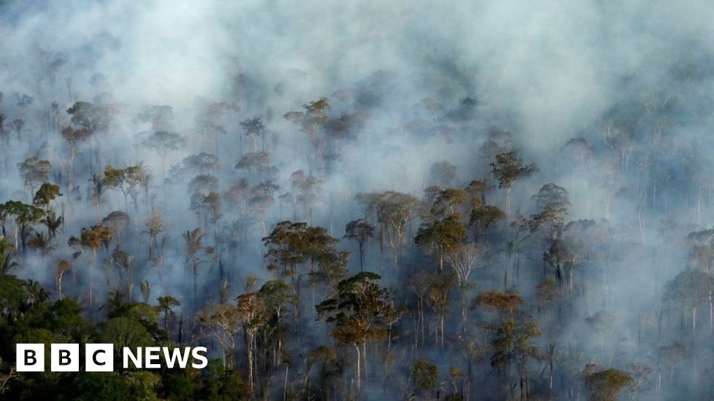 2019 brazil wildfires
