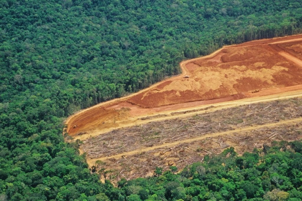 deforestation of the amazon rainforest