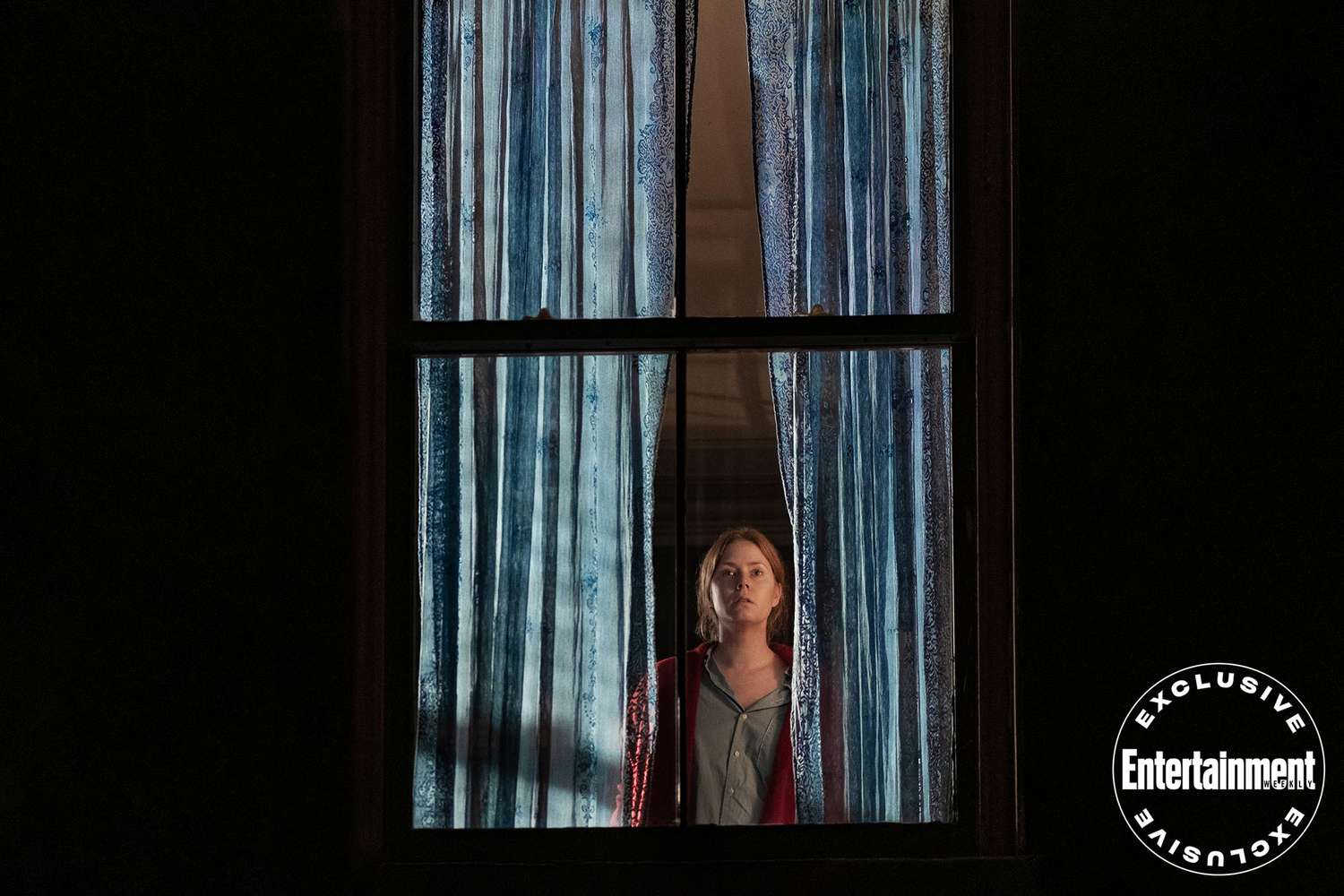 the woman in the window (2021 film)