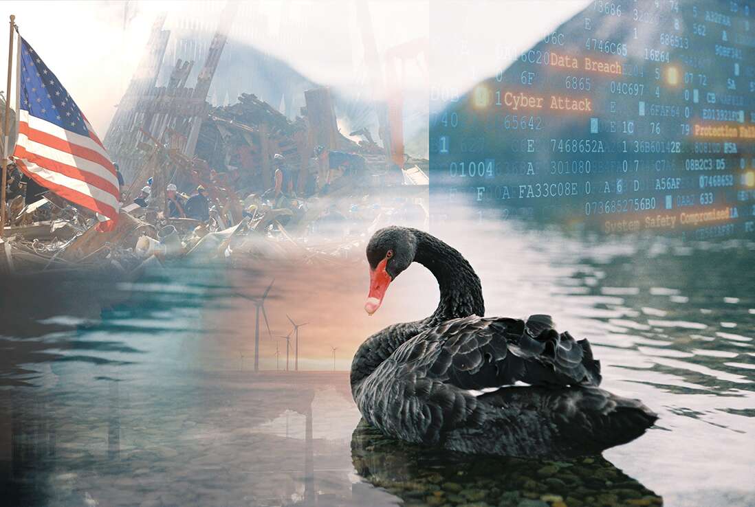 black swan theory