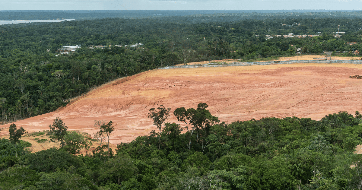 deforestation of the amazon rainforest