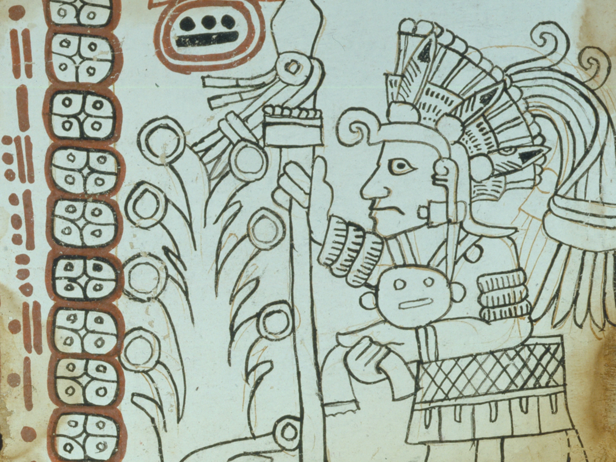 maya codices