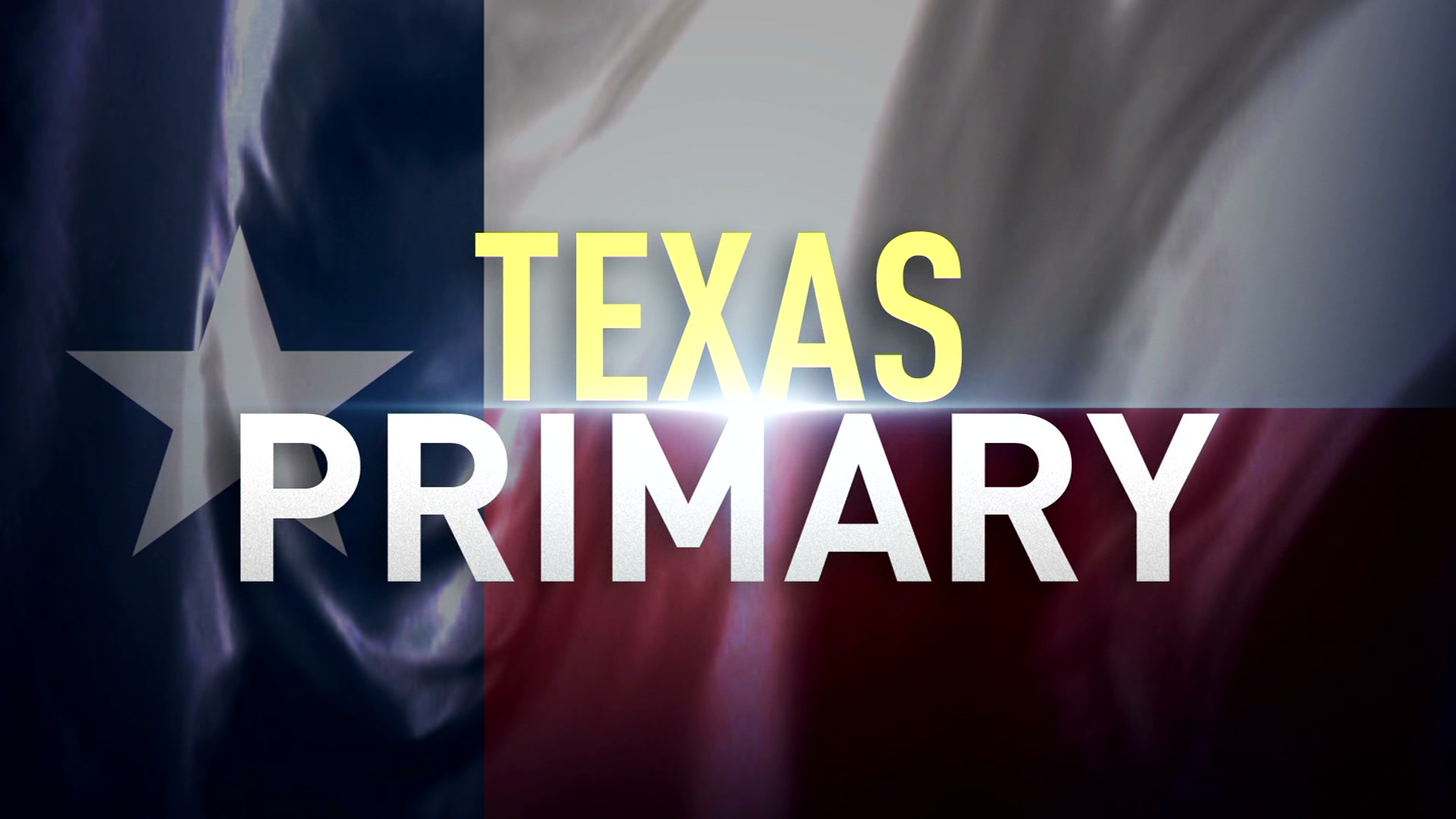 texas primary