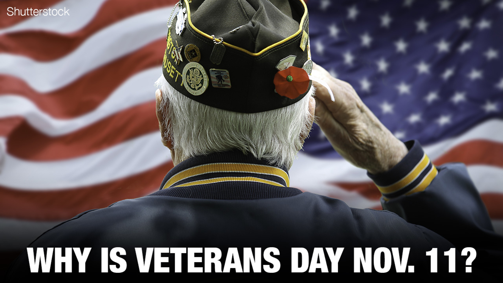 veterans day meaning