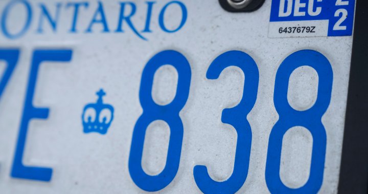 license plate renewal