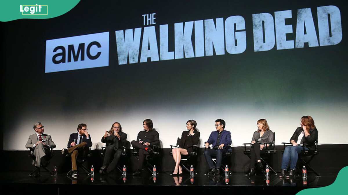 the walking dead (tv series)