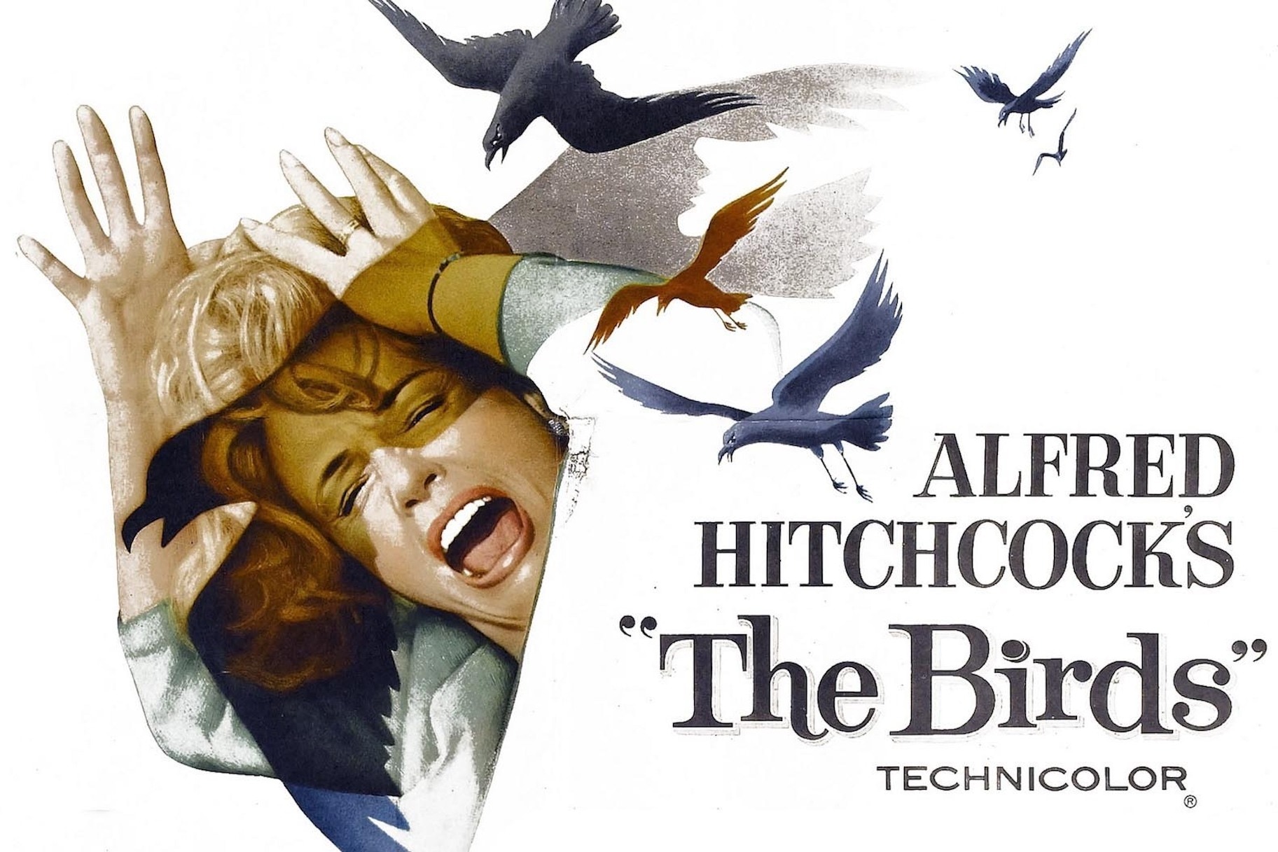 the birds (film)