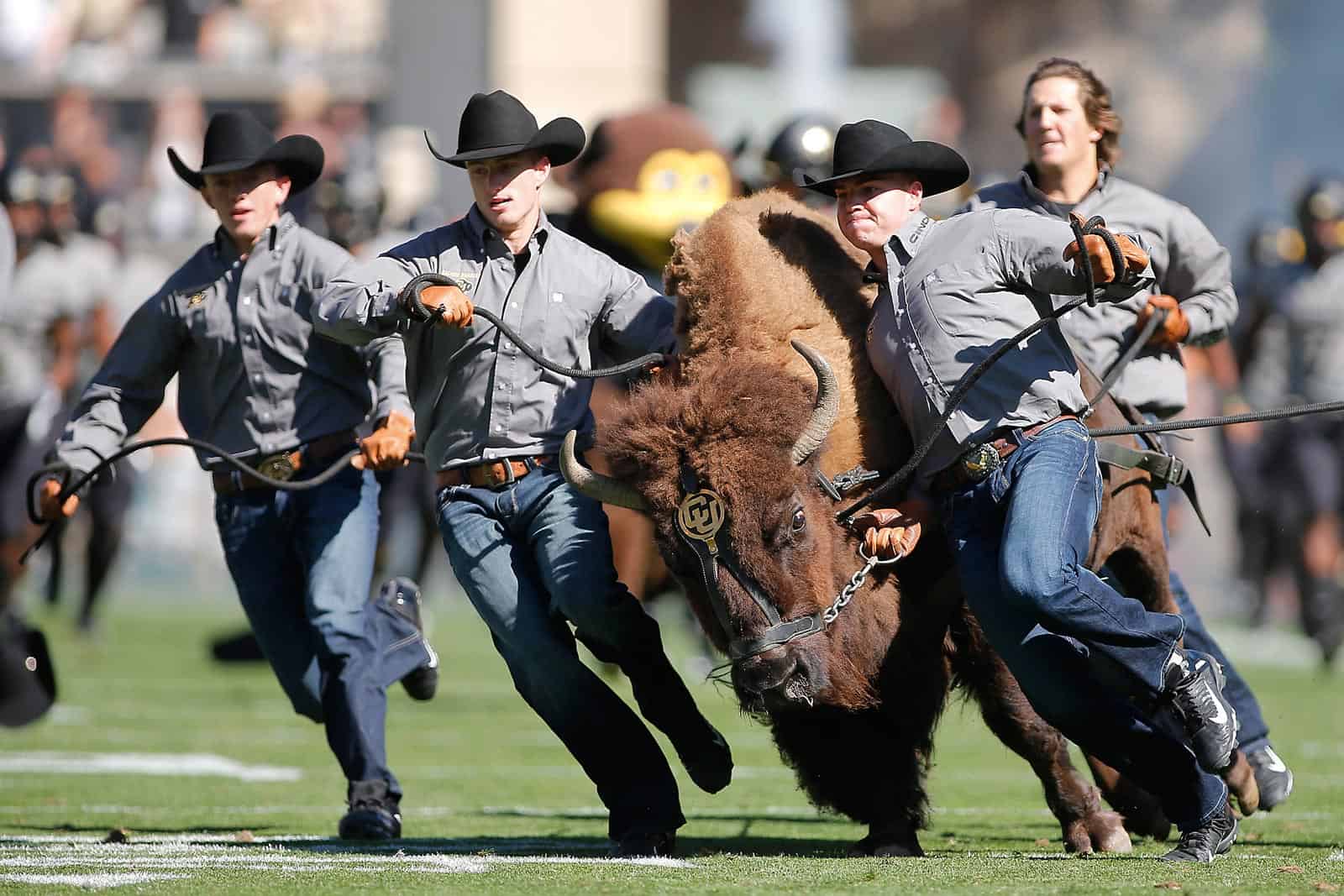 north dakota state bison football