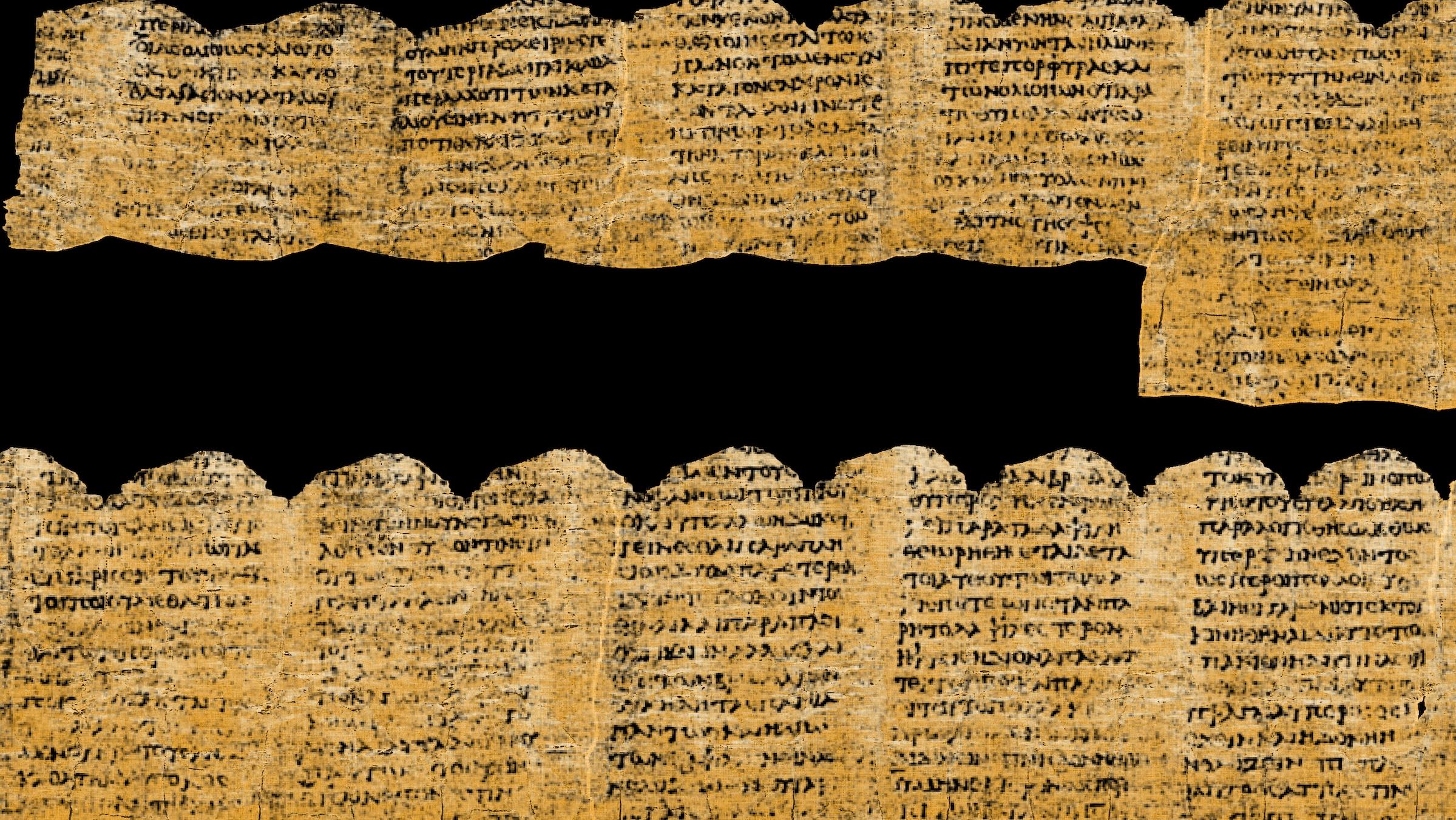 herculaneum papyri