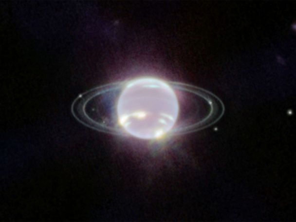 rings of neptune