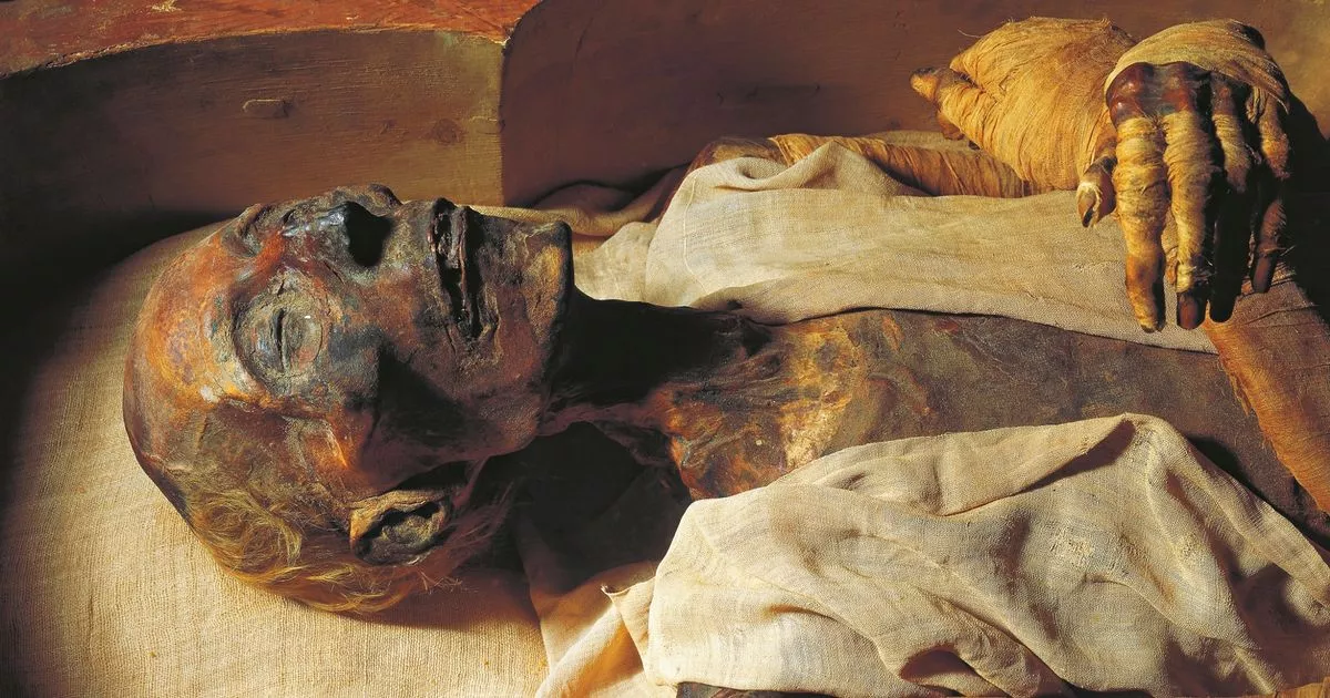 the curse of the mummy's tomb