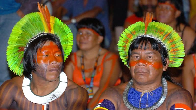 povos indígenas do brasil