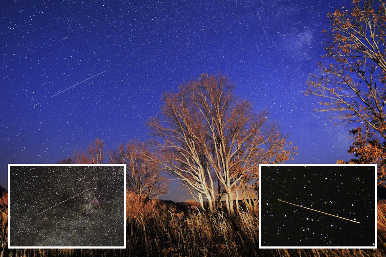 meteor shower october 2019