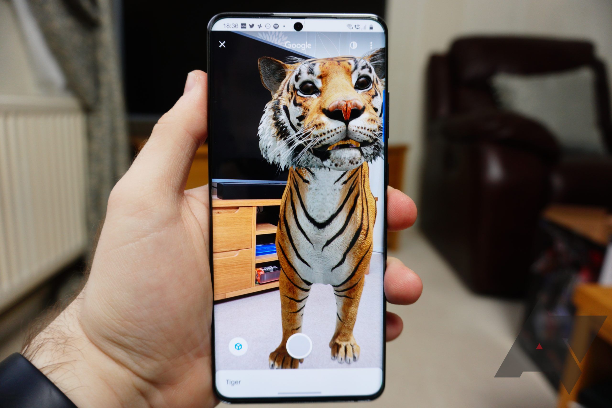 tiger view in 3d