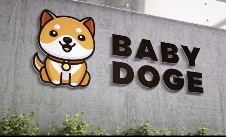 baby dogecoin