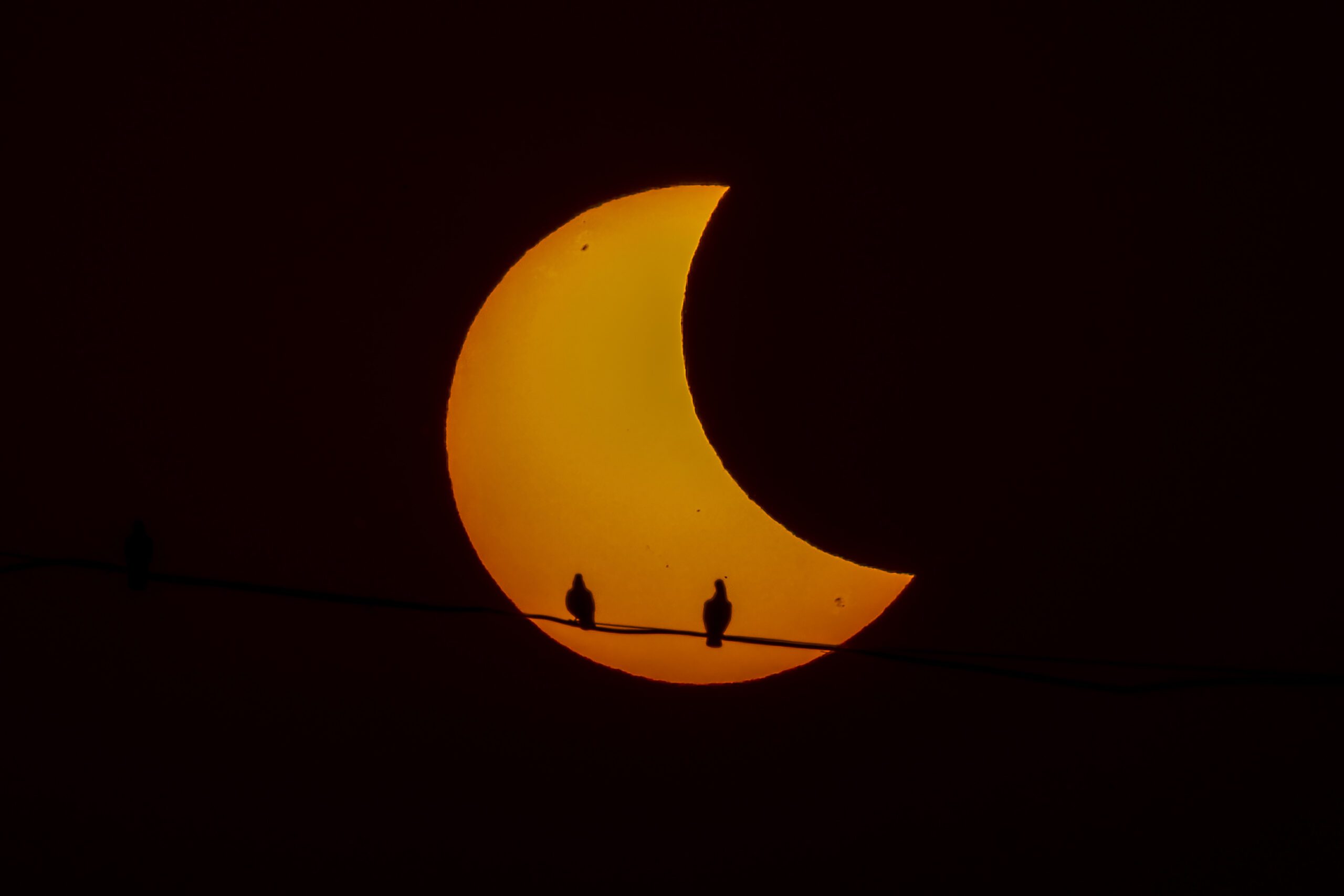 сонячне затемнення 25 жовтня 2022 року