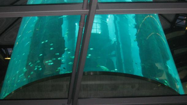 aquário gigante explode em berlim