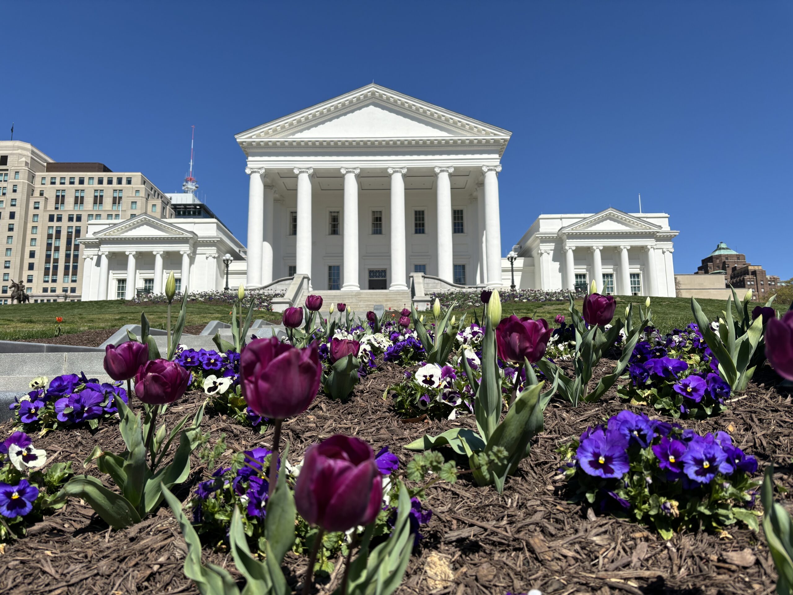 virginia general assembly