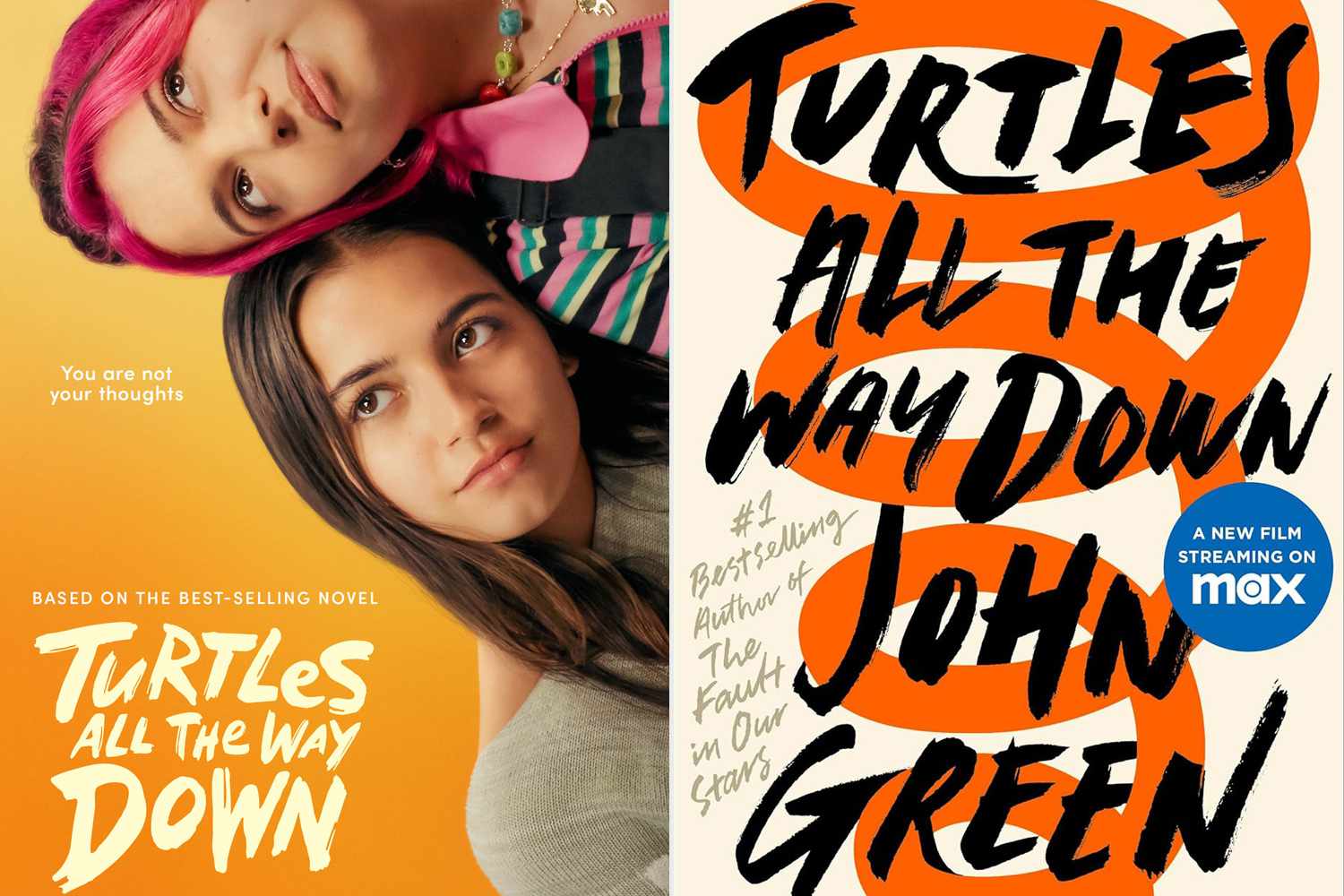 turtles all the way down (novel)