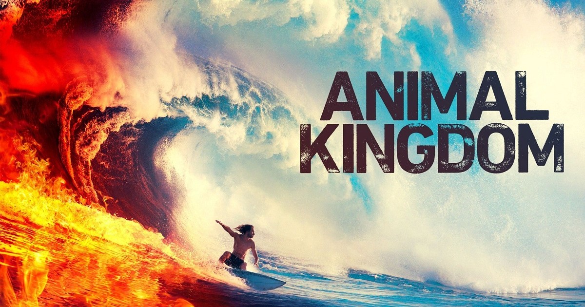 animal kingdom (tv series)