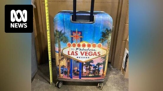woman found in suitcase