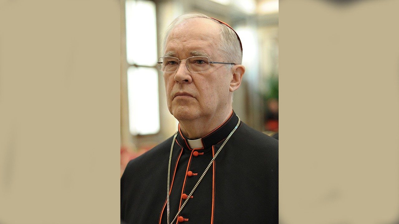 pope francis cardinals