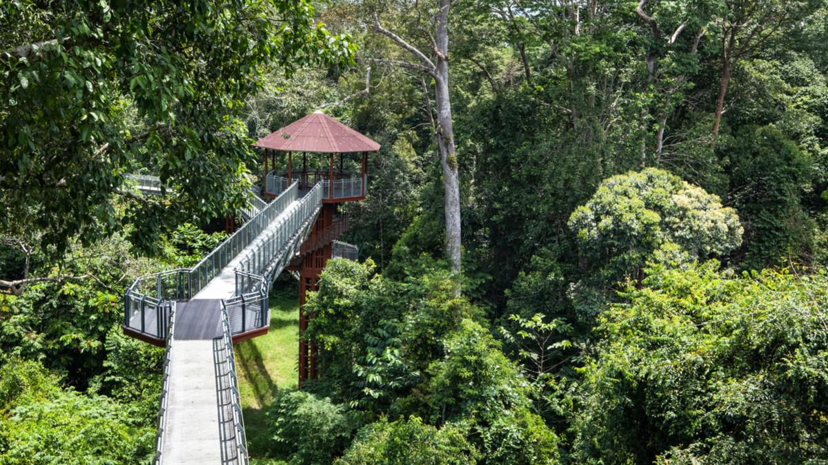 taman negara malaysia