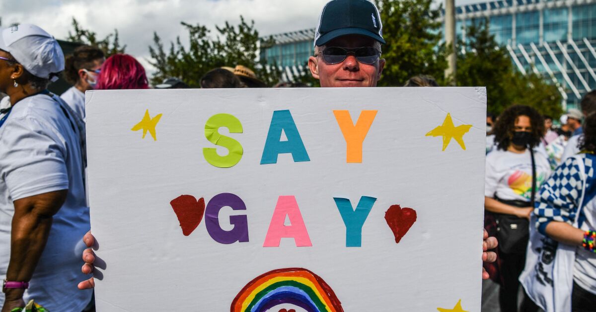 don't say gay bill