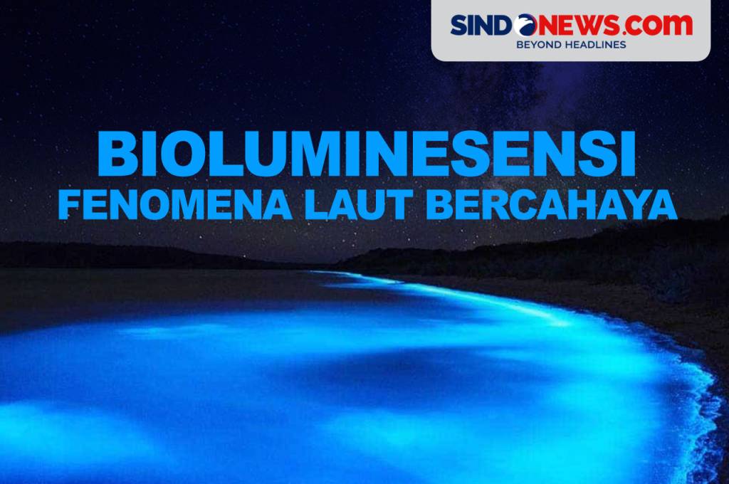 bioluminesensi