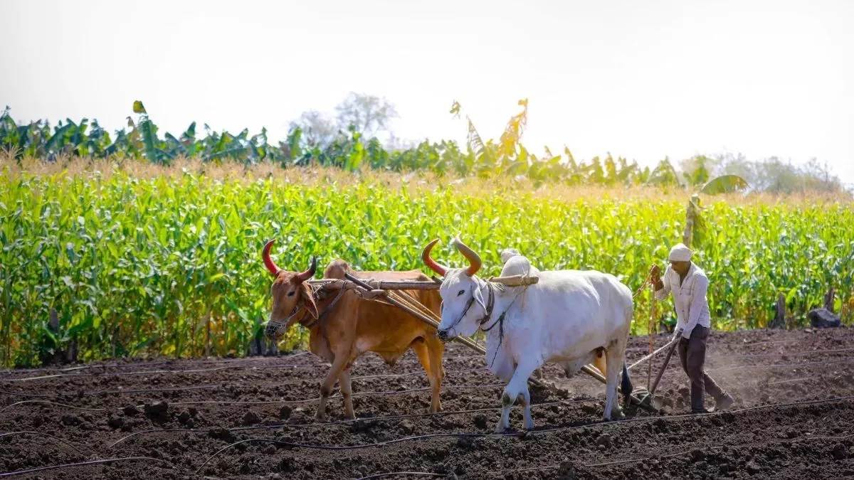 भारत में कृषि
