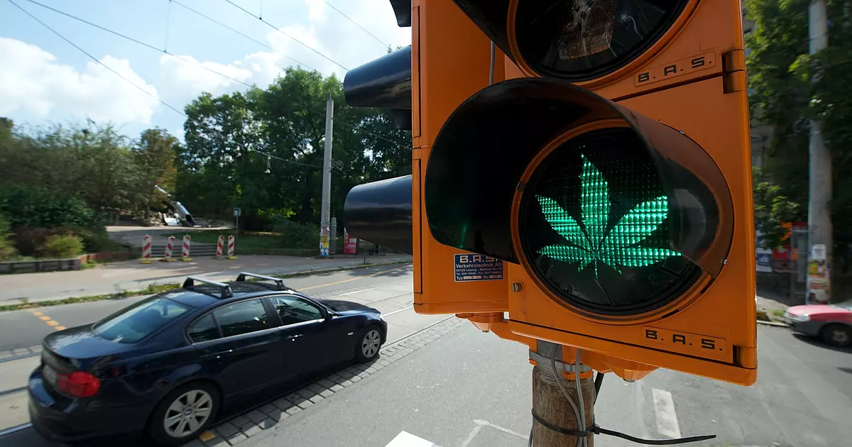 cannabis legalisierung deutschland