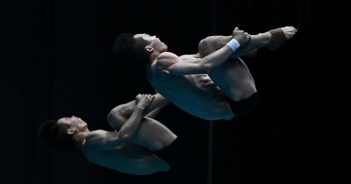 diving at the 2022 world aquatics championships