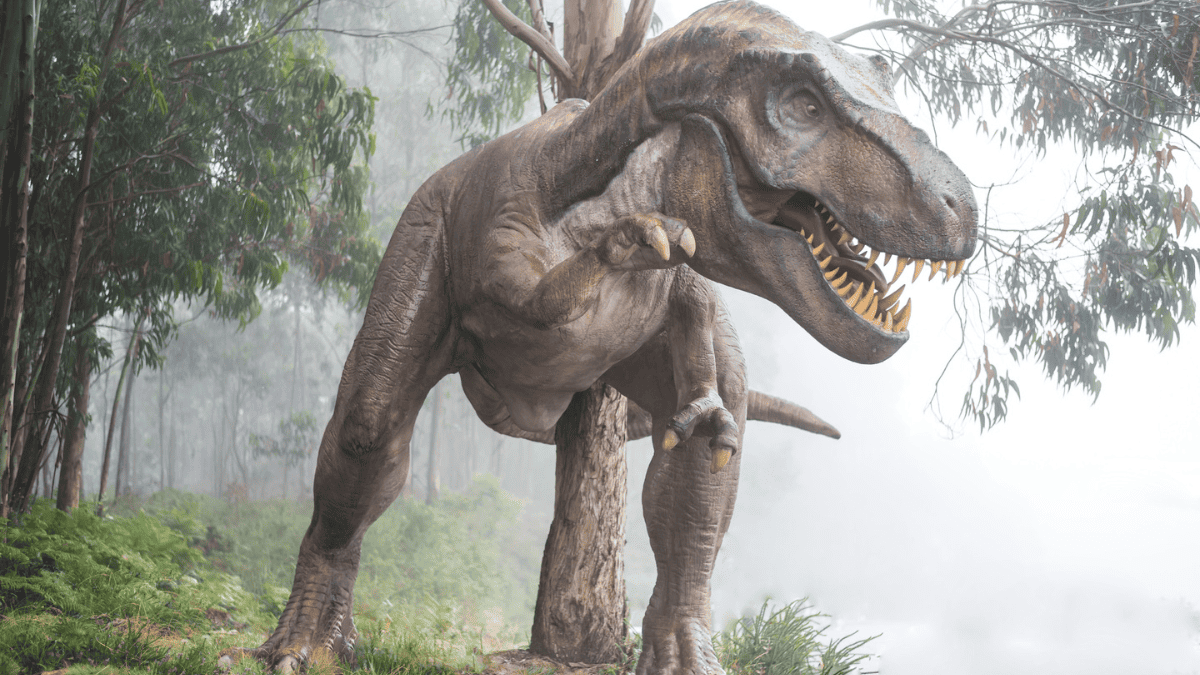 tiranossauro rex