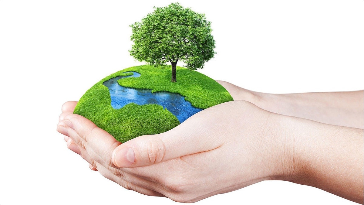 theme of world environment day 2021