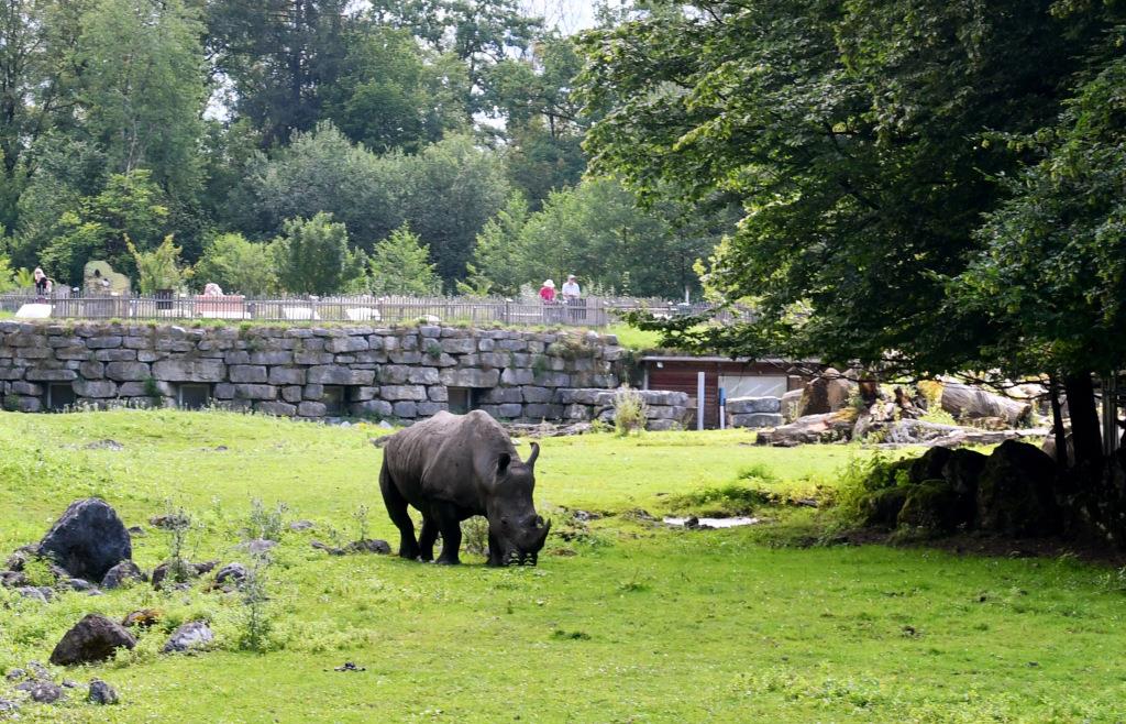 zoo salzburg