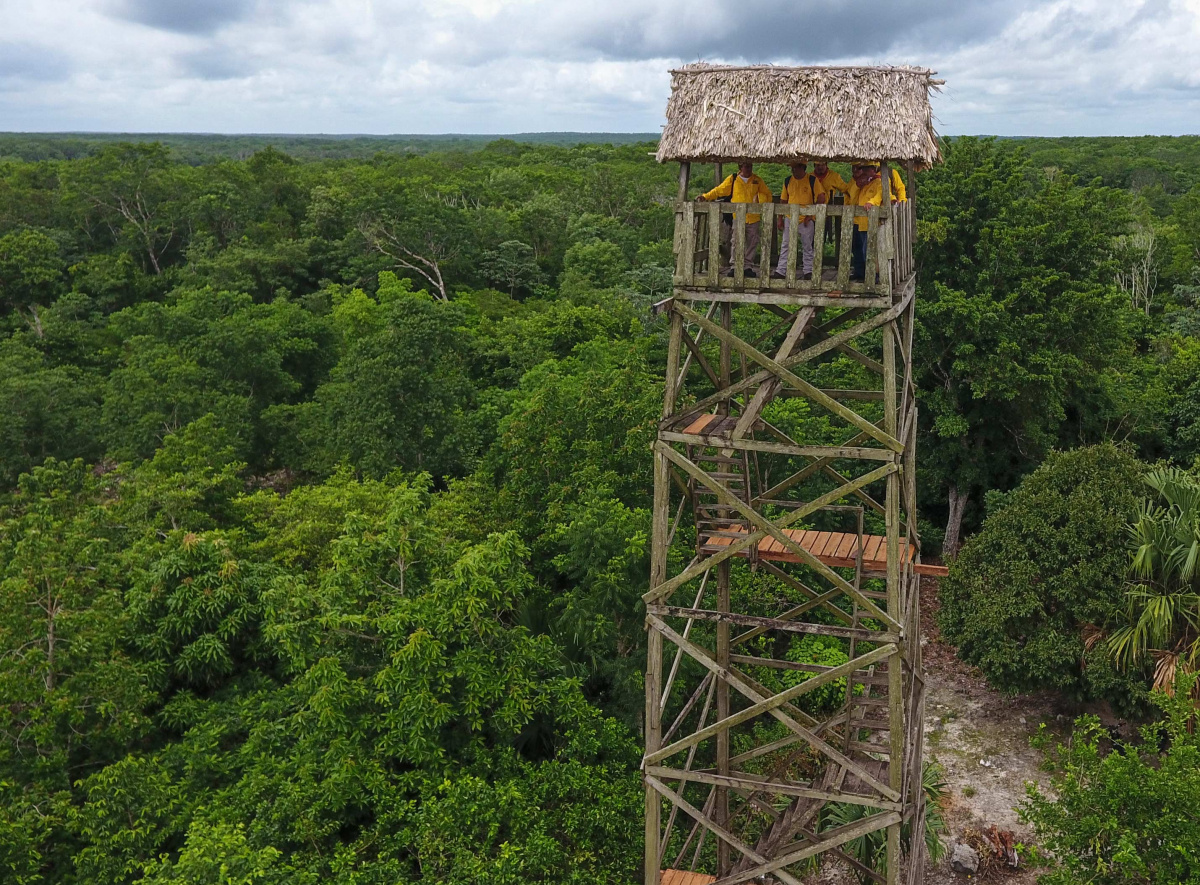 maya biosphere reserve