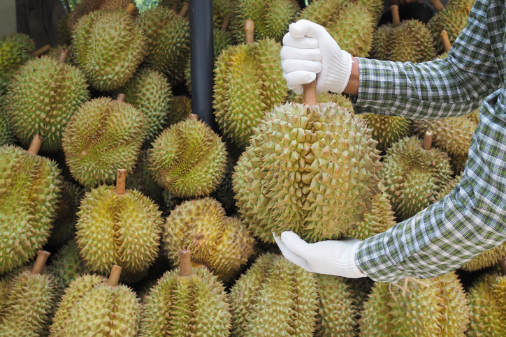 digital durian