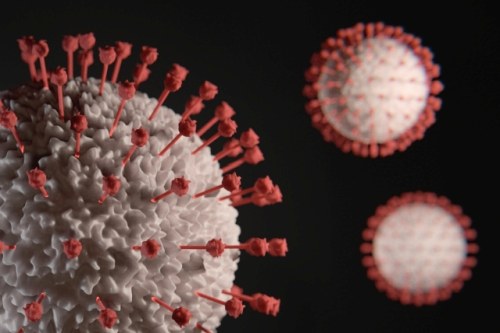 coronavirus bologna